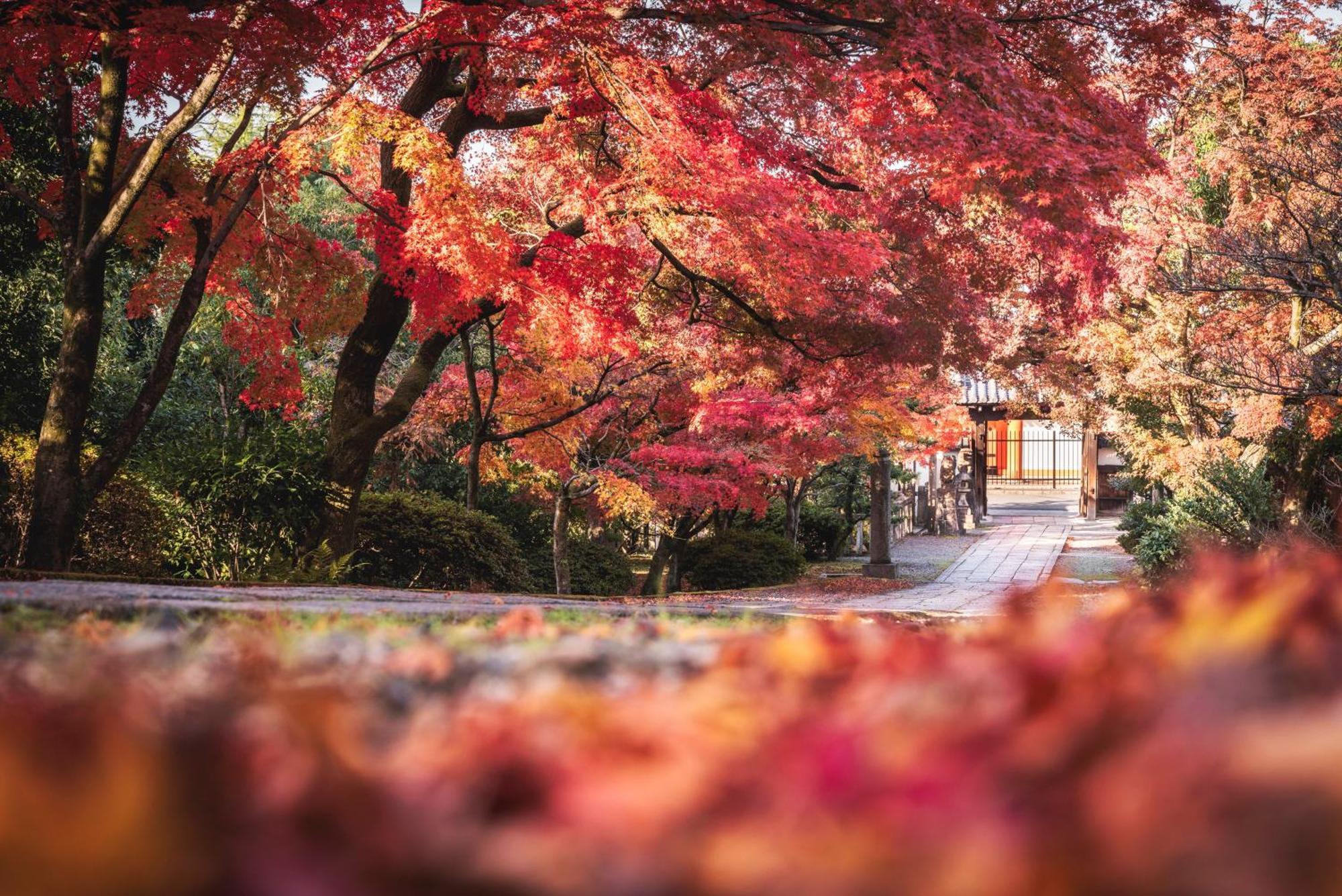 Omo5 Kyoto Sanjo By Hoshino Resorts Exterior photo